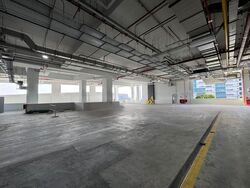 Ct Foodnex (D25), Factory #471603981